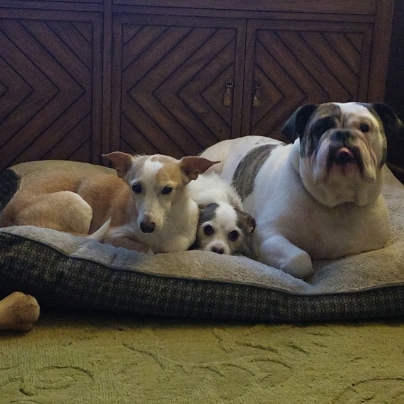 Meet your Posher, Shannon - Picture 1 of 1